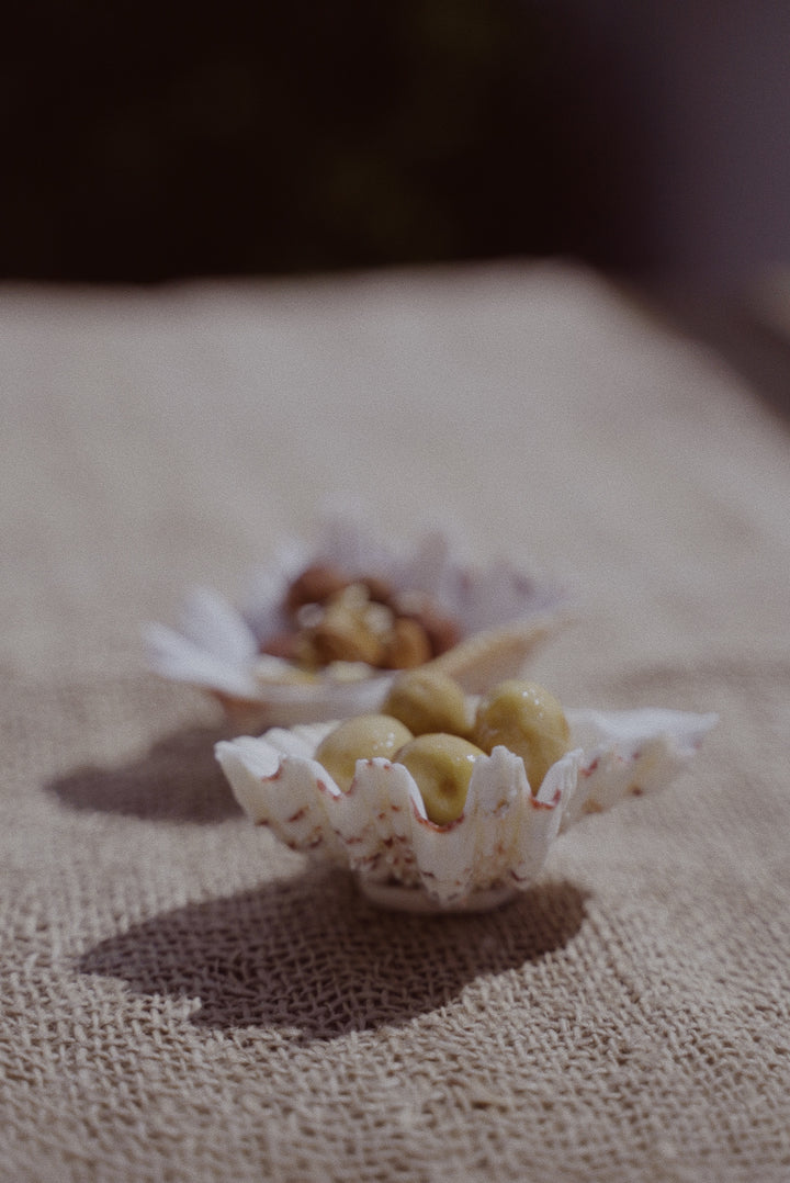 Strawberry Clam Shell Snack Bowls